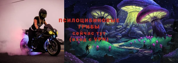 PSILOCYBIN Арсеньев