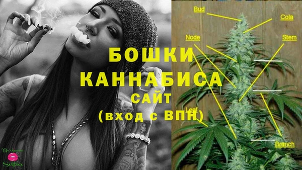 гидра Армянск