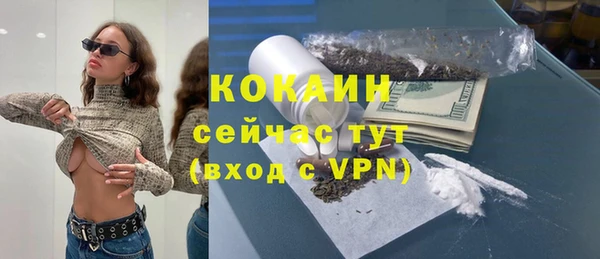 гидра Армянск