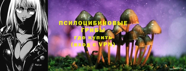 2c-b Аркадак