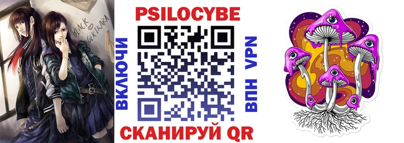 купить наркоту  Валдай  Галлюциногенные грибы мухоморы 